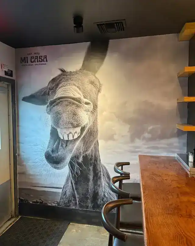 The big burro mural in Mi Casa's Burro Room, painted across the dining room wall
